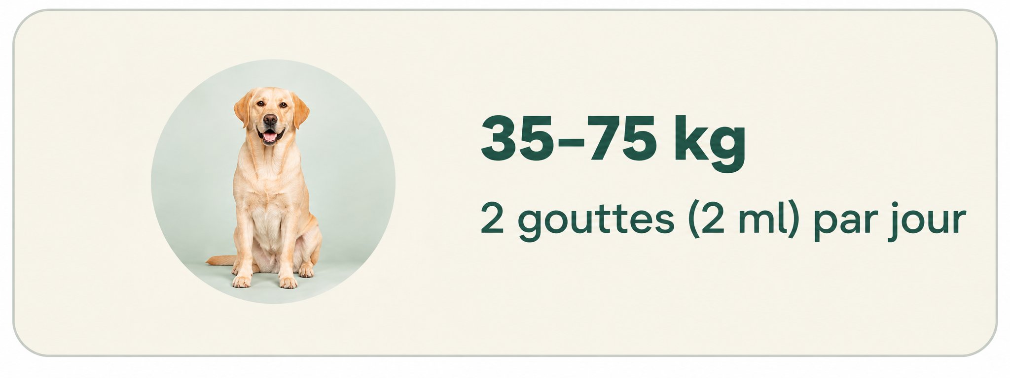 16 à 34 kg - 2 gouttes (2 ml) par jour