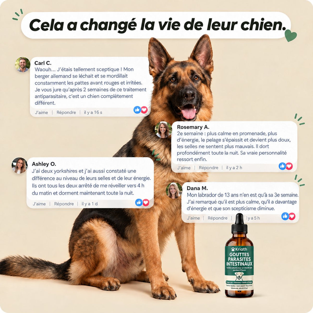 Complément alimentaire en gouttes pour chien Sensatine, vue du flacon