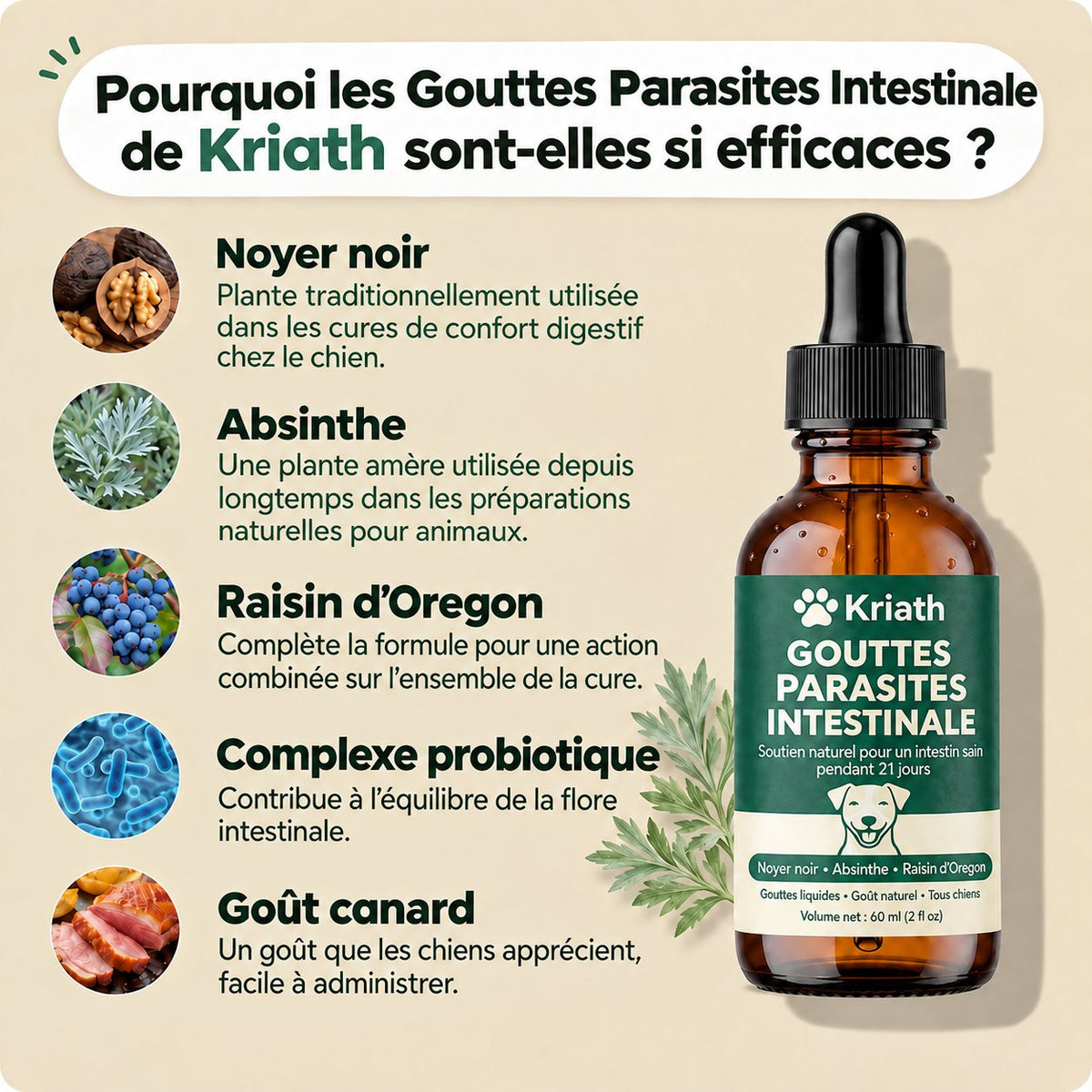 Plantes entrant dans la formule du complément alimentaire pour chien Sensatine