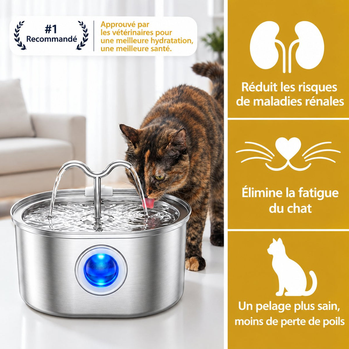 Caractéristiques de la fontaine à eau double jet Sensatine pour chat