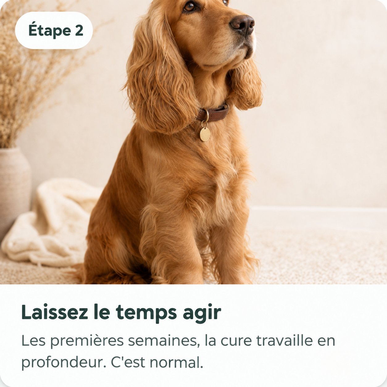 Étape 2 — Laissez le temps agir
