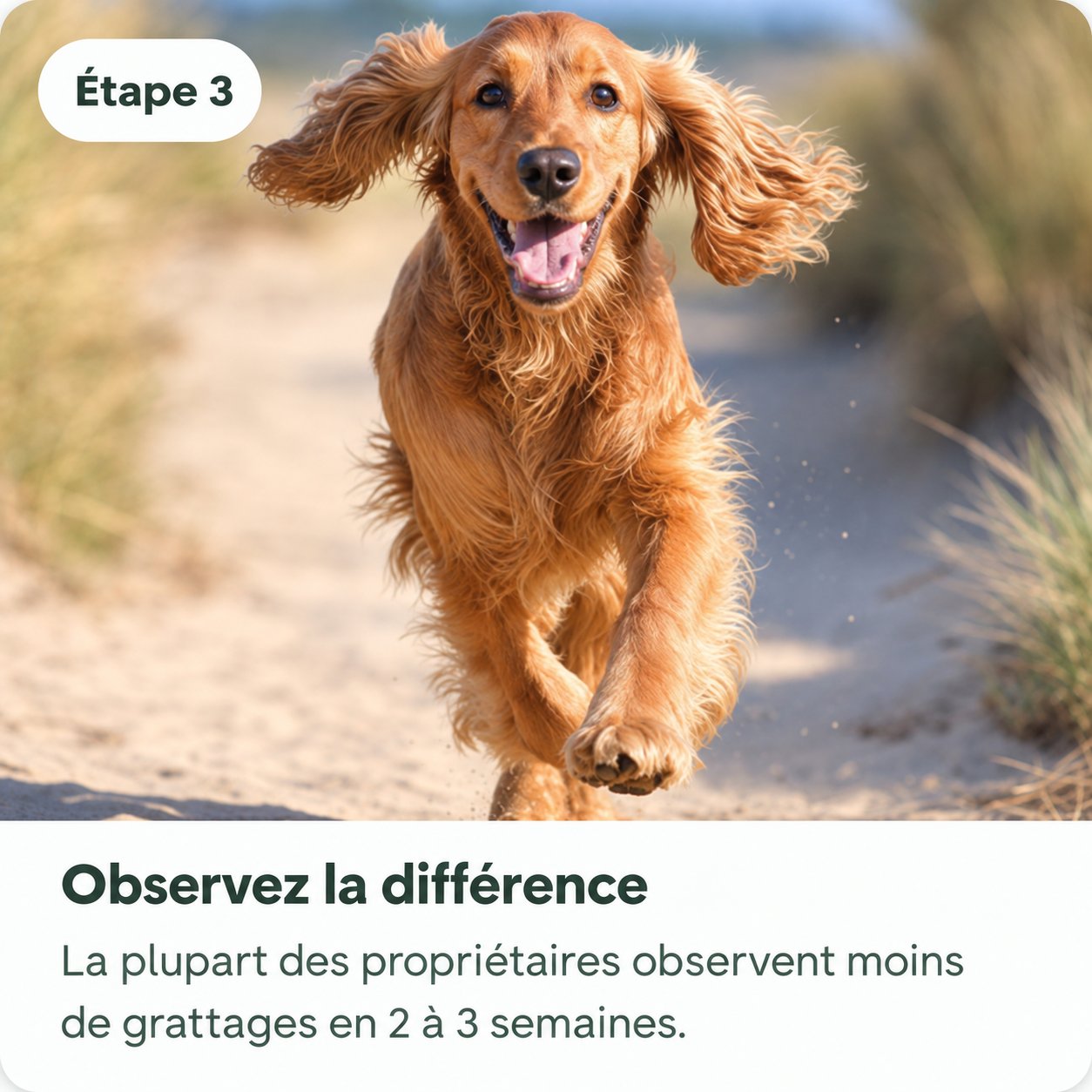 Étape 3 — Observez la différence