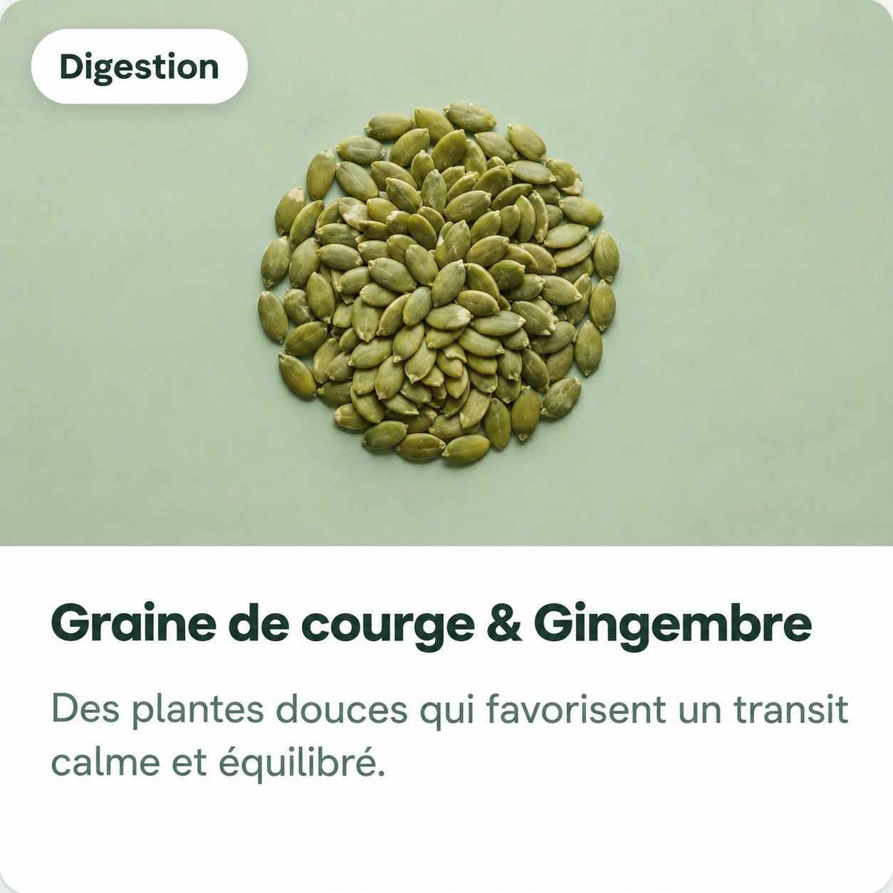 Graine de courge et Gingembre