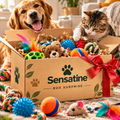 Box surprise Sensatine pour chien : brosse de toilettage et 5 jouets
