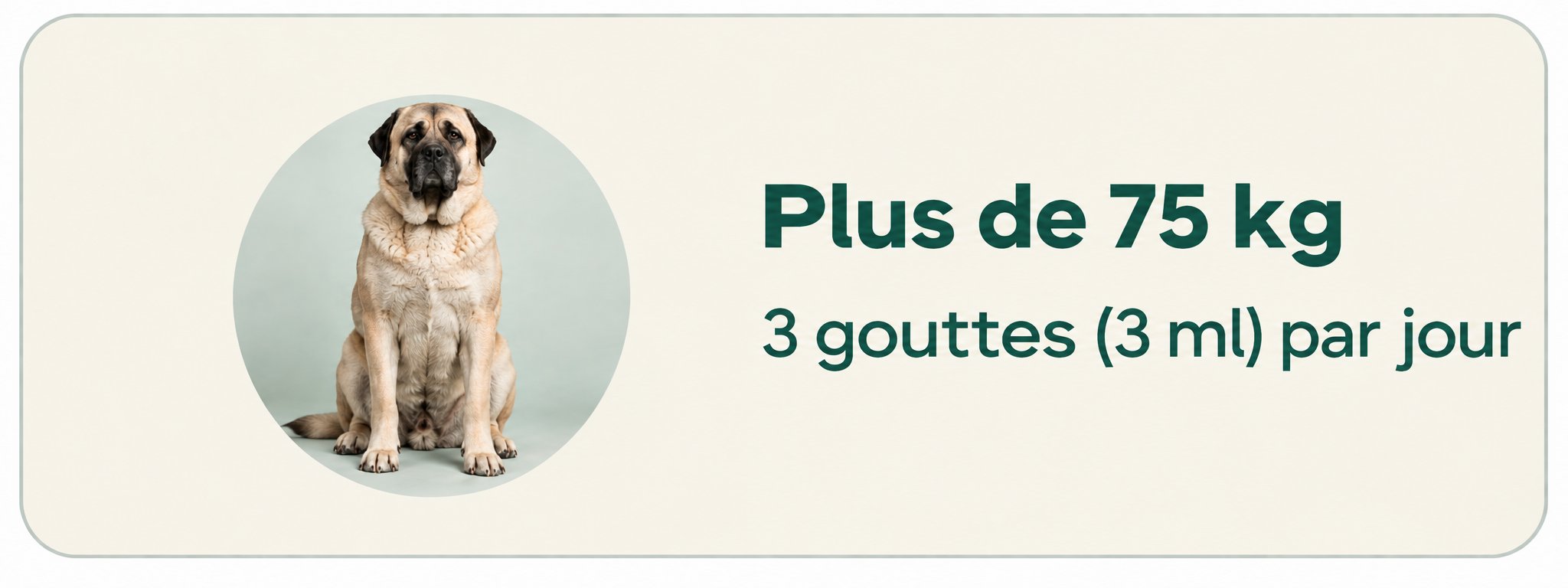 Plus de 34 kg — 3 gouttes (3 ml) par jour